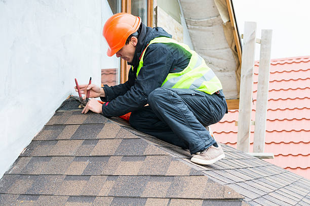 Best Roof Gutter Cleaning  in Valencia, NM